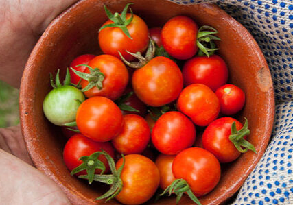 091022-farmer-consumer-awareness-day